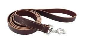 Coastal Pet Circle T Latigo Leather Dog Leash