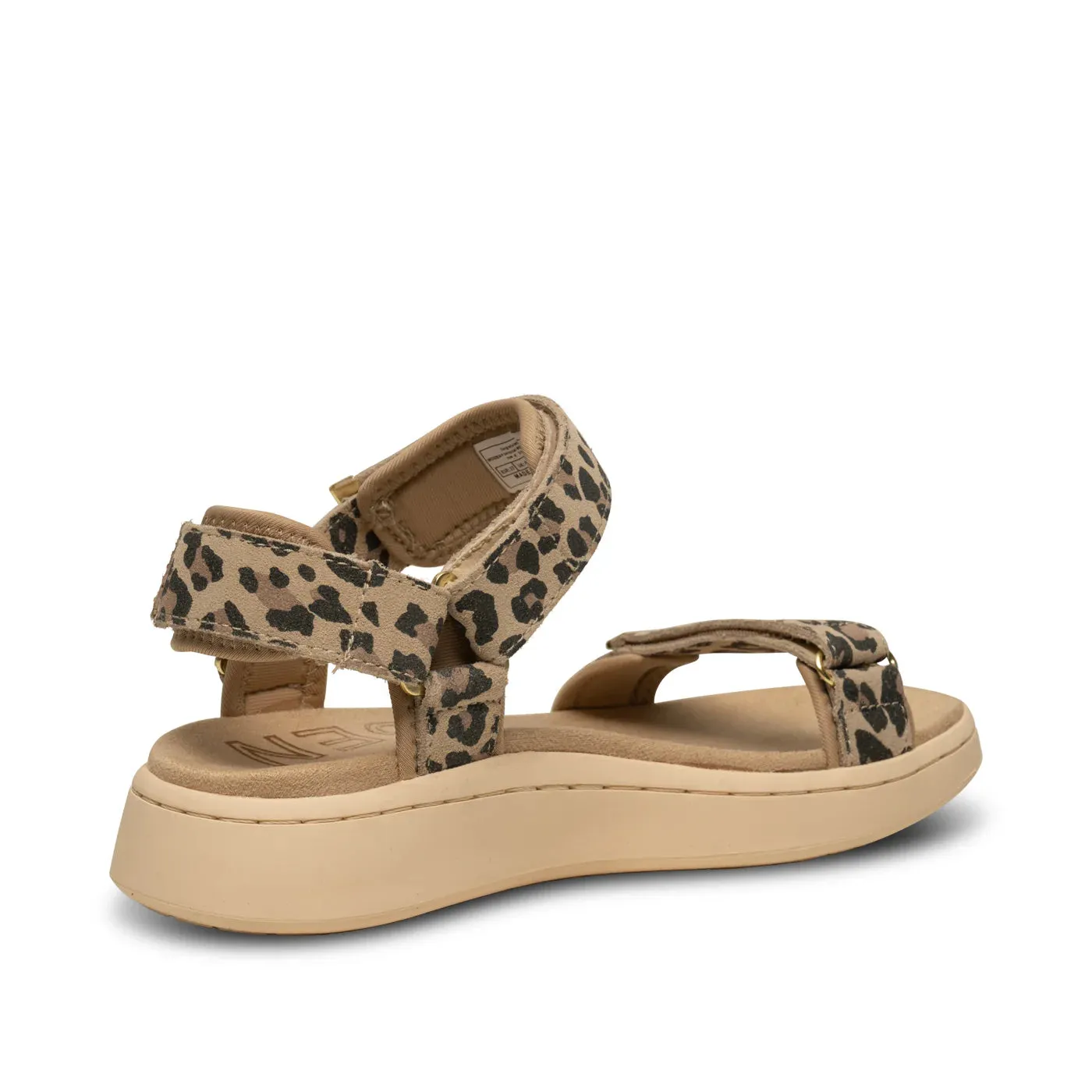 Line Suede - Leopard